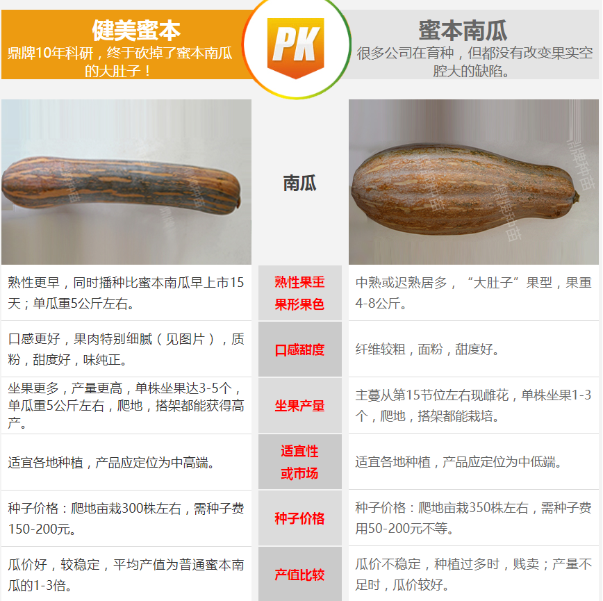 生吃都好吃南瓜新品種，沒有大肚子，肉質(zhì)更密致，農(nóng)戶試種下